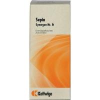 SYNERGON KOMPLEX 6 Sepia Tropfen 20 ml kaufen und sparen