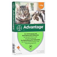 ADVANTAGE 40 mg Lösung kleine Katzen/Zierkaninchen 4x0.4 Milliliter