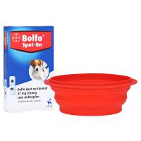 BOLFO Spot-On Fipronil 67 mg Lsg.f.kleine Hunde + gratis Bolfo Spot on Reisefressnapf 3 Stück