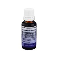 ZINCUM VALERIANICUM KOMPLEX 20 Milliliter