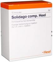 Solidago Comp. Heel Ampullen 10 Ampullen kaufen und sparen